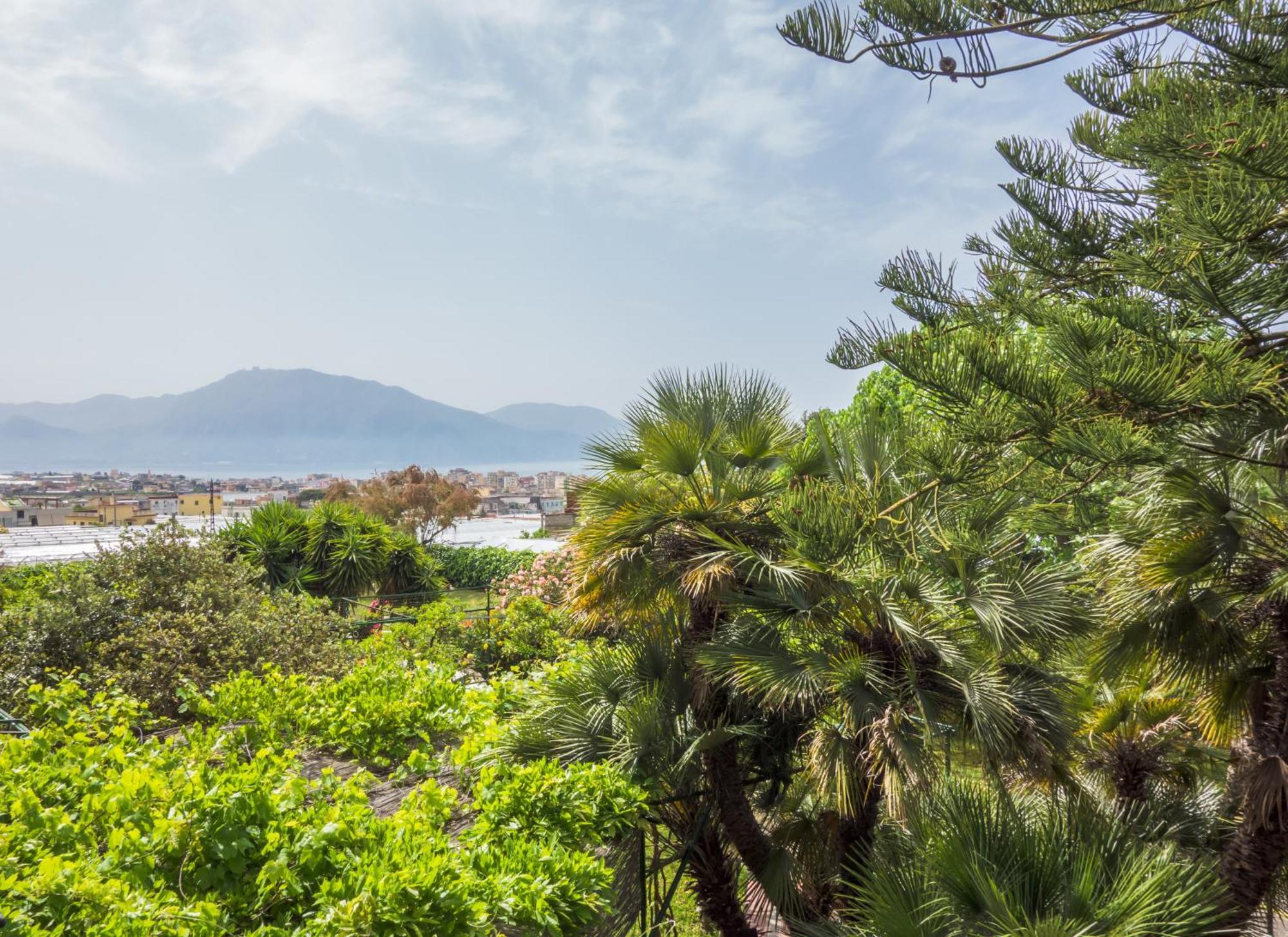B&B Casina De Goyzueta Torre del Greco Oda fotoğraf