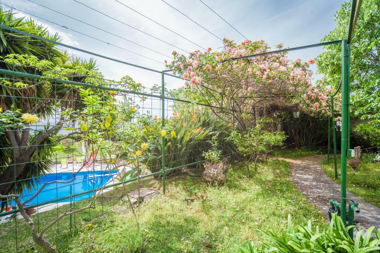 B&B Casina De Goyzueta Torre del Greco Dış mekan fotoğraf